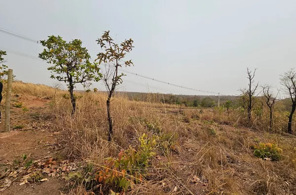 Terreno para venda, Próximo ao trevo do lagarto, Novo Mundo, Varzea Grande