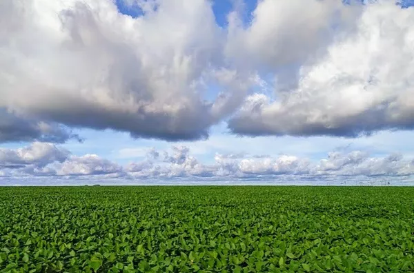 Fazenda em Água Boa