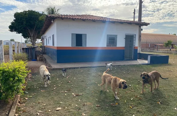 Imóvel comercial para venda,  Distrito Industrial, Dom Aquino