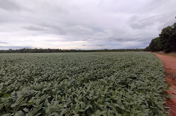 Fazenda em Água Boa