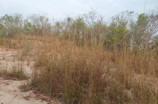 Terreno para venda, Distrito da Guia, Cuiabá
