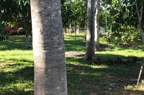 Chácara para venda,  -  Cuiabá