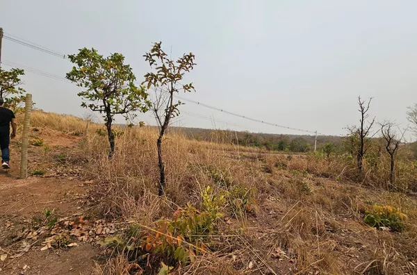 Terreno para venda, Próximo ao trevo do lagarto, Novo Mundo, Varzea Grande