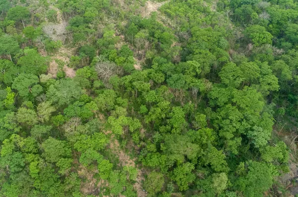 Terrenos ou lotes residenciais para venda,  - Selecione - Bairro, Cuiabá