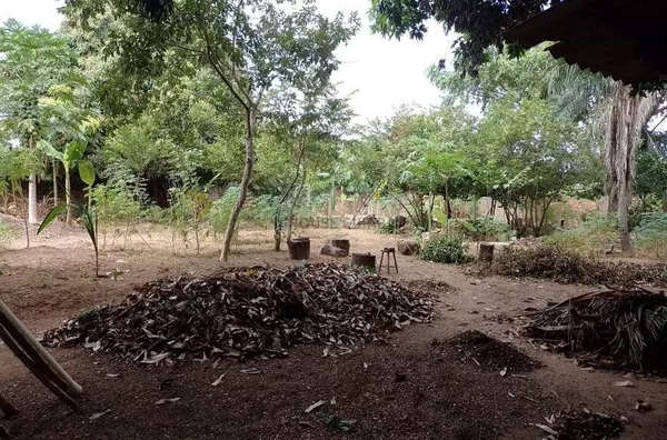Terreno para venda,  todo Murado, Coophema