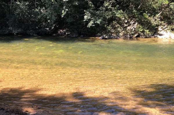 Chácara para venda, Porteira fechada, As margens do Rio  Coxipo Do Ouro, Cuiabá