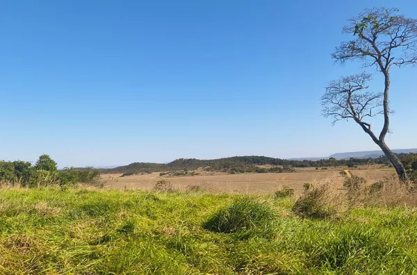 Fazenda para venda, Rosário Oeste, MT - 630 Hectares