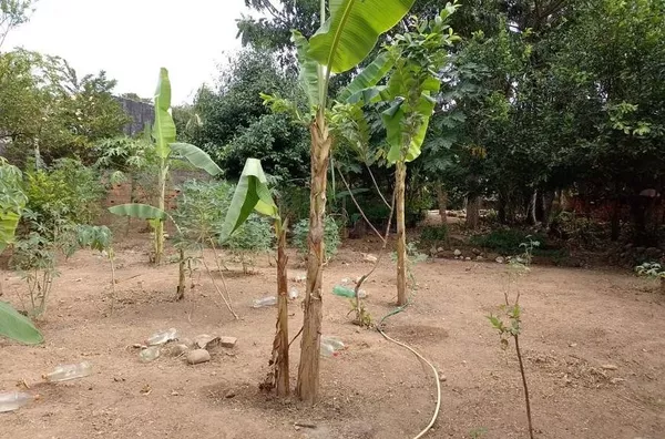 Terreno para venda,  todo Murado, Coophema