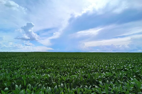 Fazenda em Água Boa
