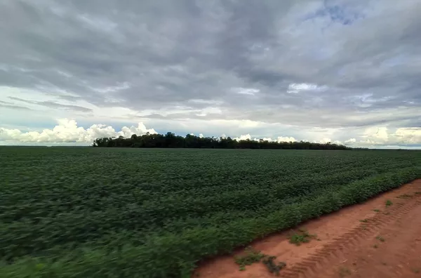 Fazenda em Água Boa