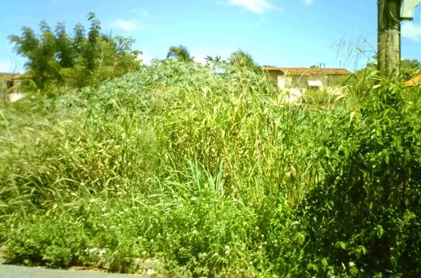 Terreno para venda,  Santa Rosa, Cuiabá