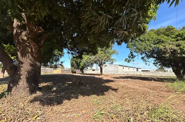 Terreno para aluguel,  Setor Industrial, Sinop