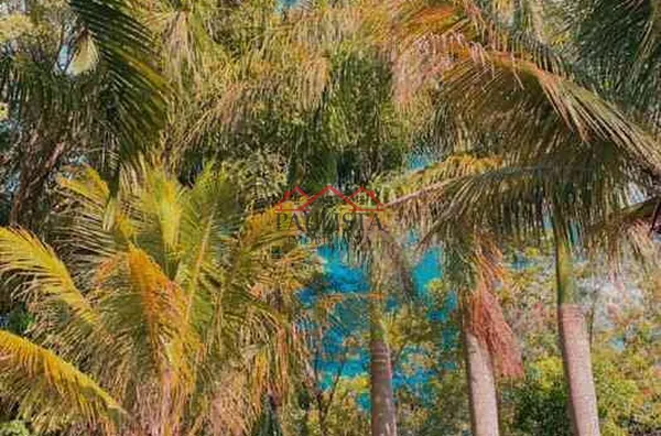 RANCHO SOBRADO EM PORTO ALMEIDA DE FUNDO PARA RIO PARANAPANEMA