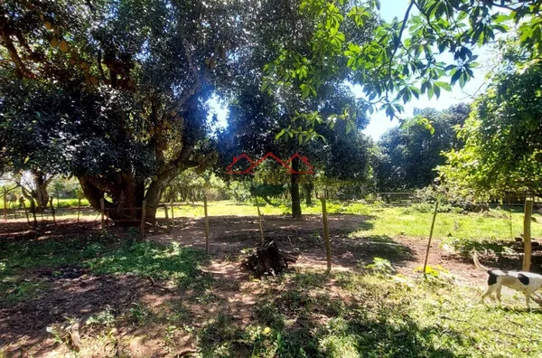 CH3506 - Chácara para venda na Quinta Dos Flamboyants em Assis-SP - Foto 9