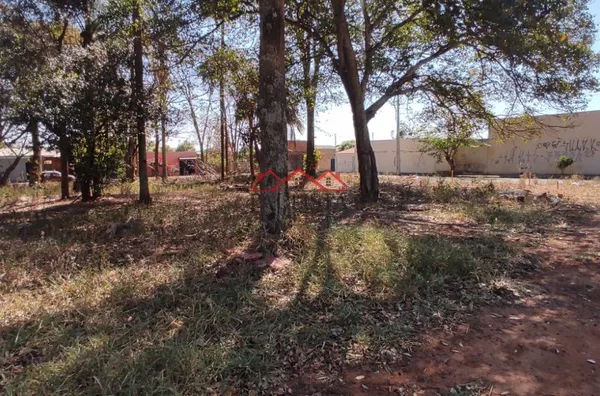 TE3236 - Terrenos à venda na Vila Independência em Assis/SP