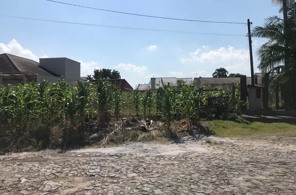 Terreno 637,71m²,  Menino Deus, frente leste