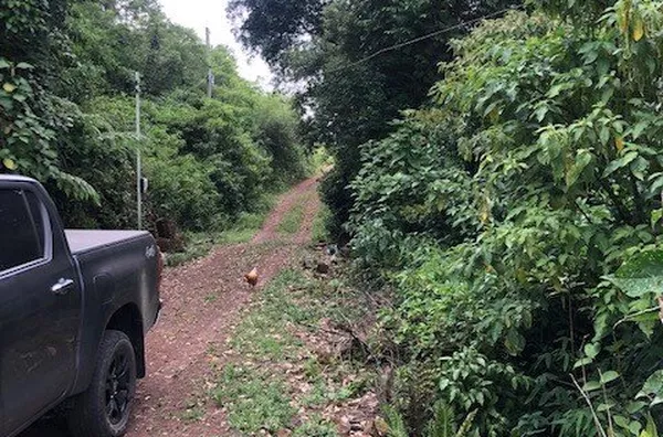Sitio de lazer para venda no Bairro Evaristo em Santo Antônio da Patrulha