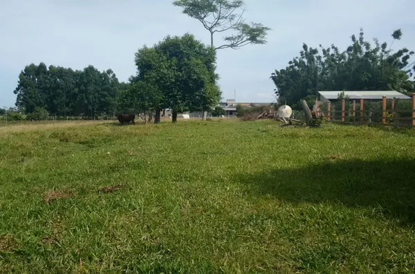 Sítios/chácaras para venda,  - Selecione - Bairro, Santo Antônio Da Patrulha