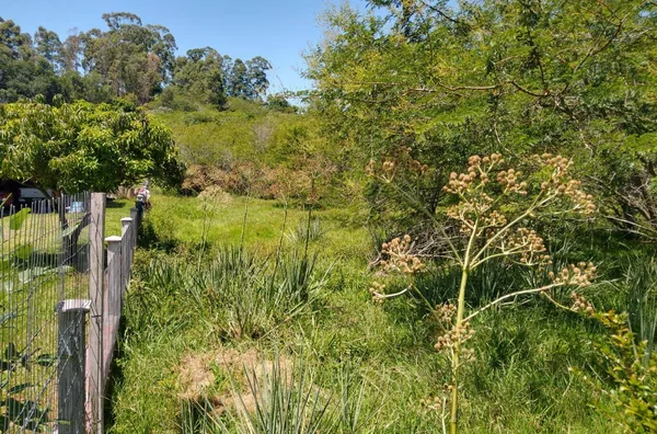 [area comercial] para venda,  Barro Vermelho, Santo Antônio Da Patrulha