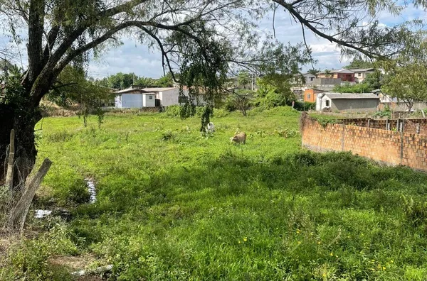 Terreno para venda,  Madre Tereza, Santo Antônio Da Patrulha