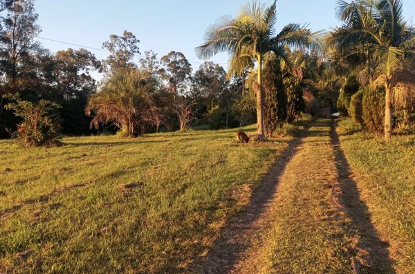 Sítio para venda, 4 quarto(s),  Vila Nova, Glorinha