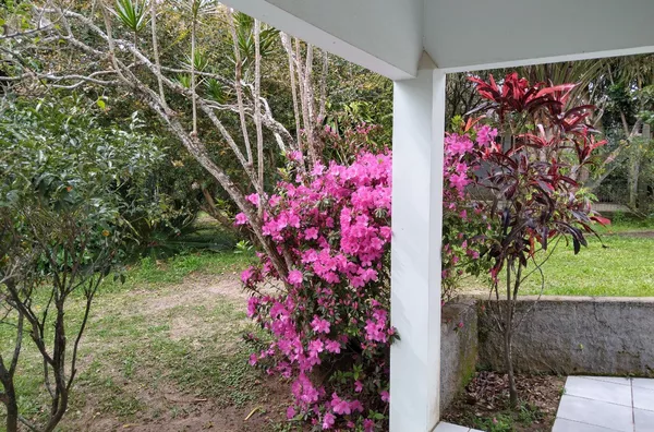 Sitio de lazer para venda no Bairro Catanduvinha em Santo Antônio da Patrulha