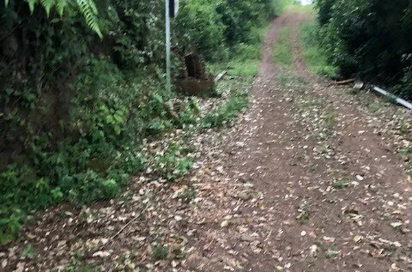 Sitio de lazer para venda no Bairro Evaristo em Santo Antônio da Patrulha