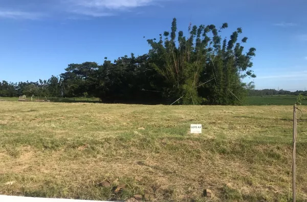 Terreno,  Lot. Reserva da Colina, SAP 