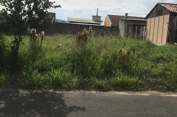 Terreno com rua asfaltada, pronto para construir.