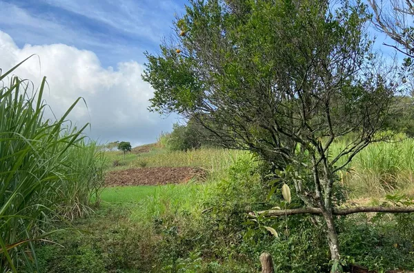 Chácara para venda,  - Selecione - Bairro, Santo Antônio Da Patrulha