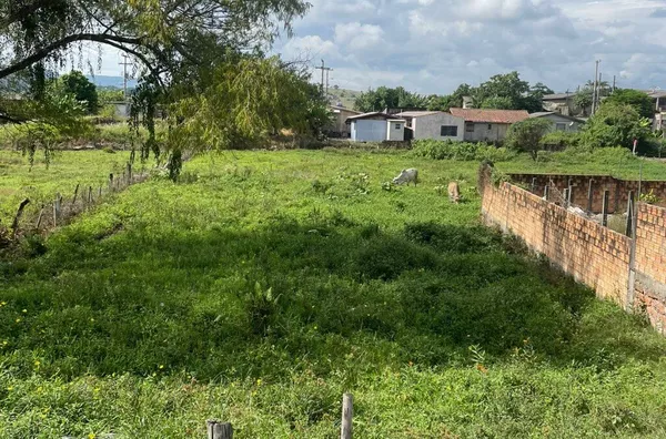 Terreno para venda,  Madre Tereza, Santo Antônio Da Patrulha