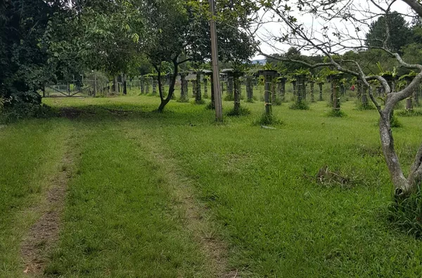 Sítio para venda,  Rincão São João, Glorinha