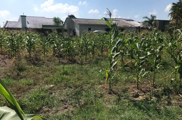 Terreno 637,71m²,  Menino Deus, frente leste