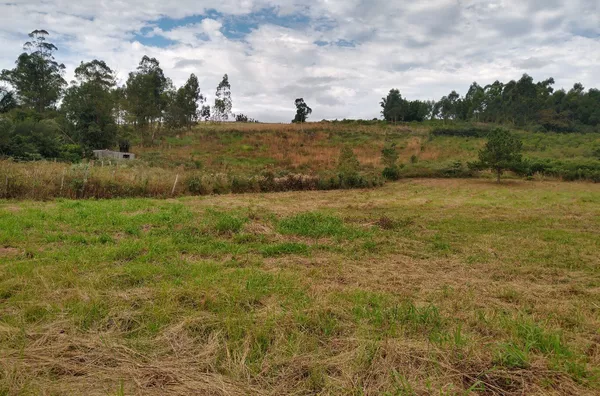 Terreno para venda,  - Selecione - Bairro, Santo Antônio Da Patrulha