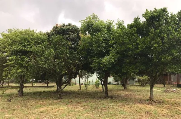 Casa para venda no Bairro Cidade Alta  em Santo Antônio da Patrulha