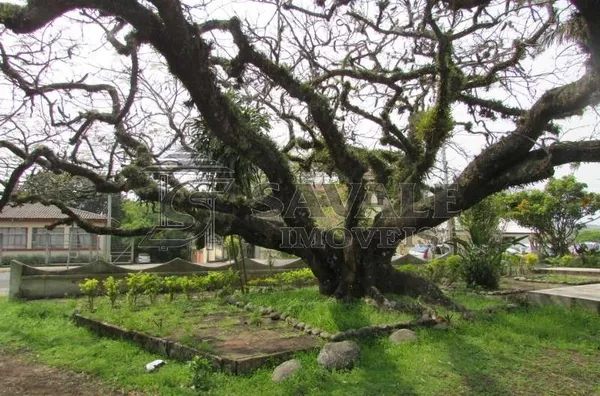 Casa para venda no Bairro Cidade Alta  em Santo Antônio da Patrulha