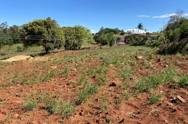 Sitio de lazer para venda no Bairro Palmeira do Sertão em Santo Antônio da Patrulha