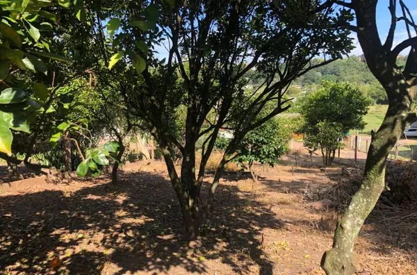 Terreno para venda no Bairro Madre Tereza em Santo Antônio da Patrulha