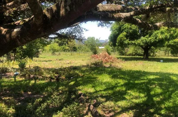 Imovel Comercial para venda no Bairro Varzea em Santo Antônio da Patrulha