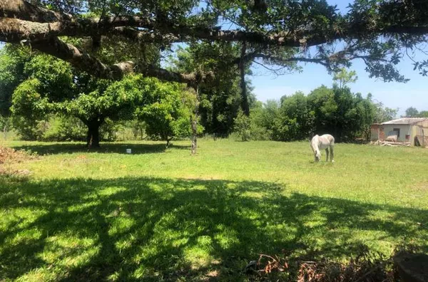 Imovel Comercial para venda no Bairro Varzea em Santo Antônio da Patrulha