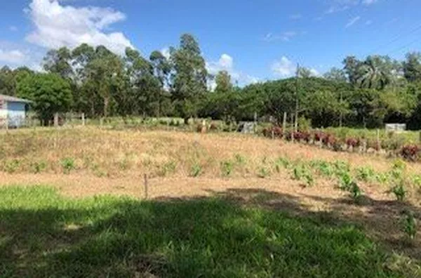 Sitio de lazer para venda no Bairro Chicolomã em Santo Antônio da Patrulha