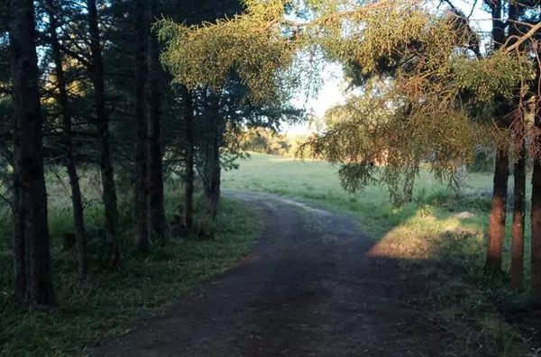 Sítio para venda, 4 quarto(s),  Vila Nova, Glorinha