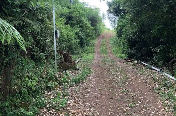 Sitio de lazer para venda no Bairro Evaristo em Santo Antônio da Patrulha