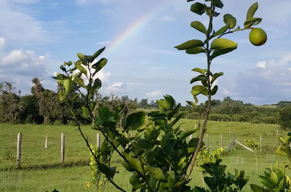 Sítio para venda,  Rincão São João, Glorinha