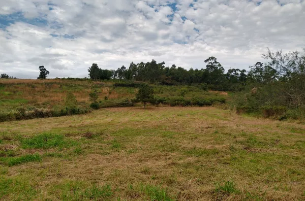 Terreno para venda,  - Selecione - Bairro, Santo Antônio Da Patrulha