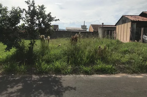 Terreno com rua asfaltada, pronto para construir.