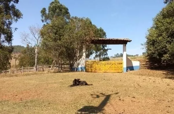 Vendo Fazenda Centenária 44 alqueires em Aurioca, MG