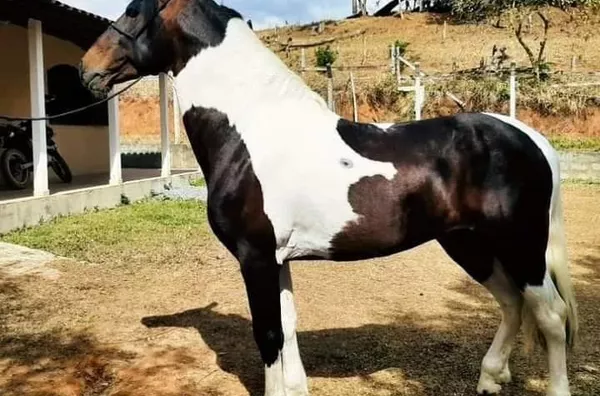 Pousada com 145.200 metros quadrados em Virginia, MG