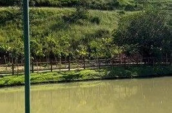 Casa com 3 dormitórios à venda, 157 m² por R$ 742.000,00 - Condomínio Residencial Mantiqueira - São 