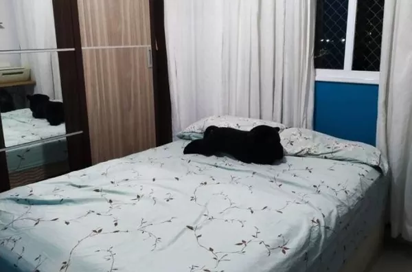 Apartamento para venda Jardim Ismênia São José dos Campos